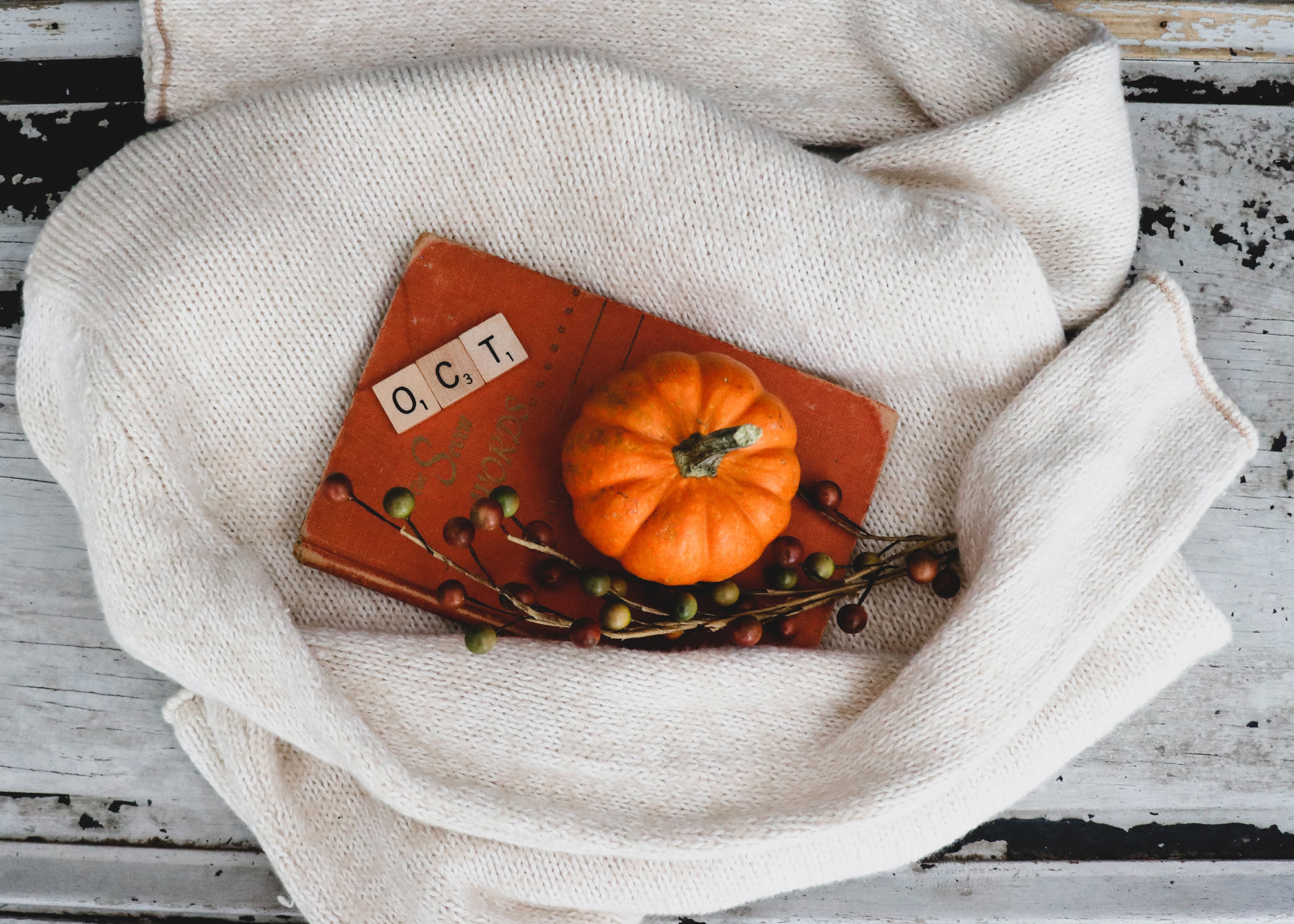 Outstanding October Events in Fort Collins 2022