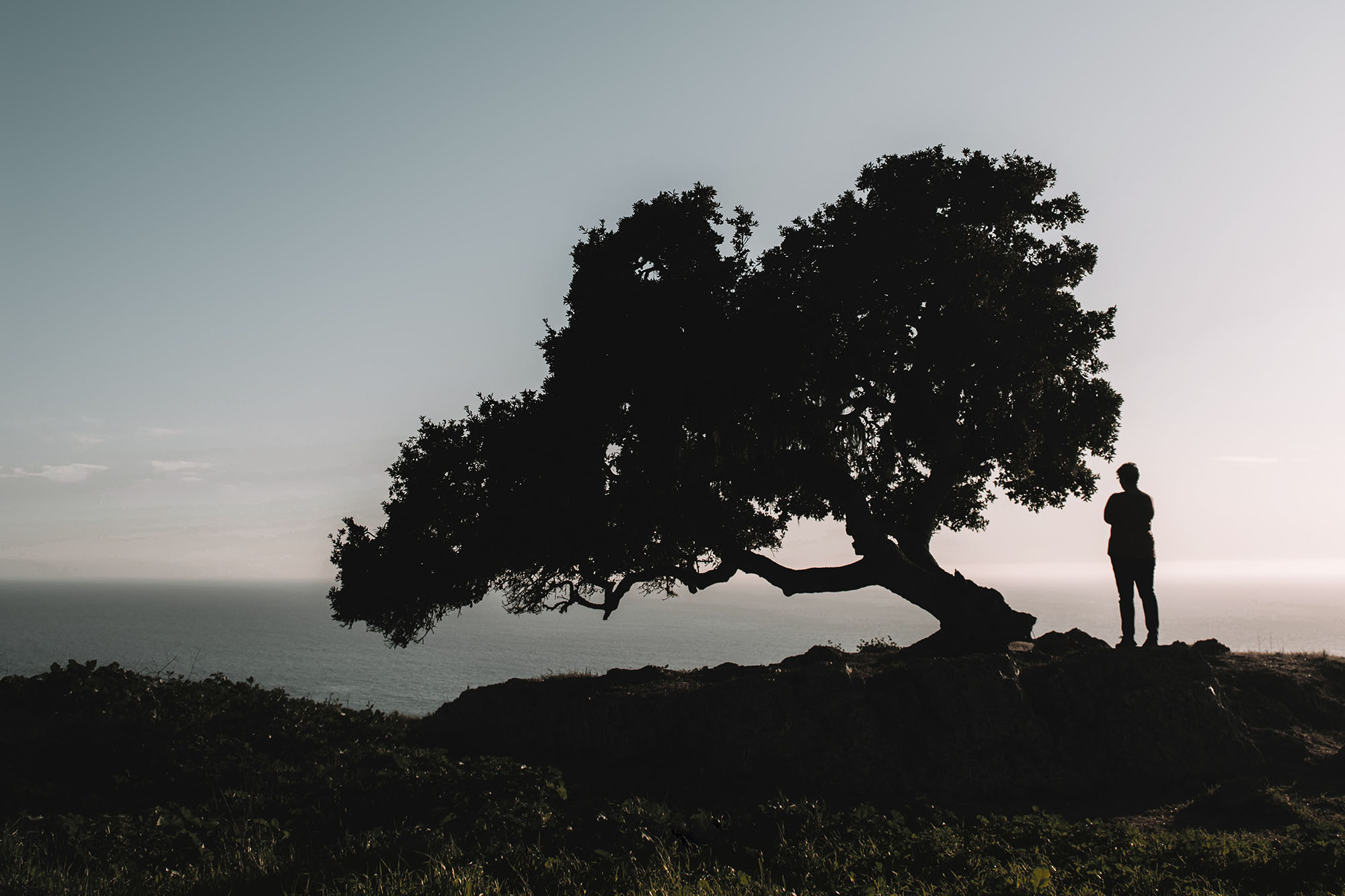 Reinforce Resilience with Coworking
