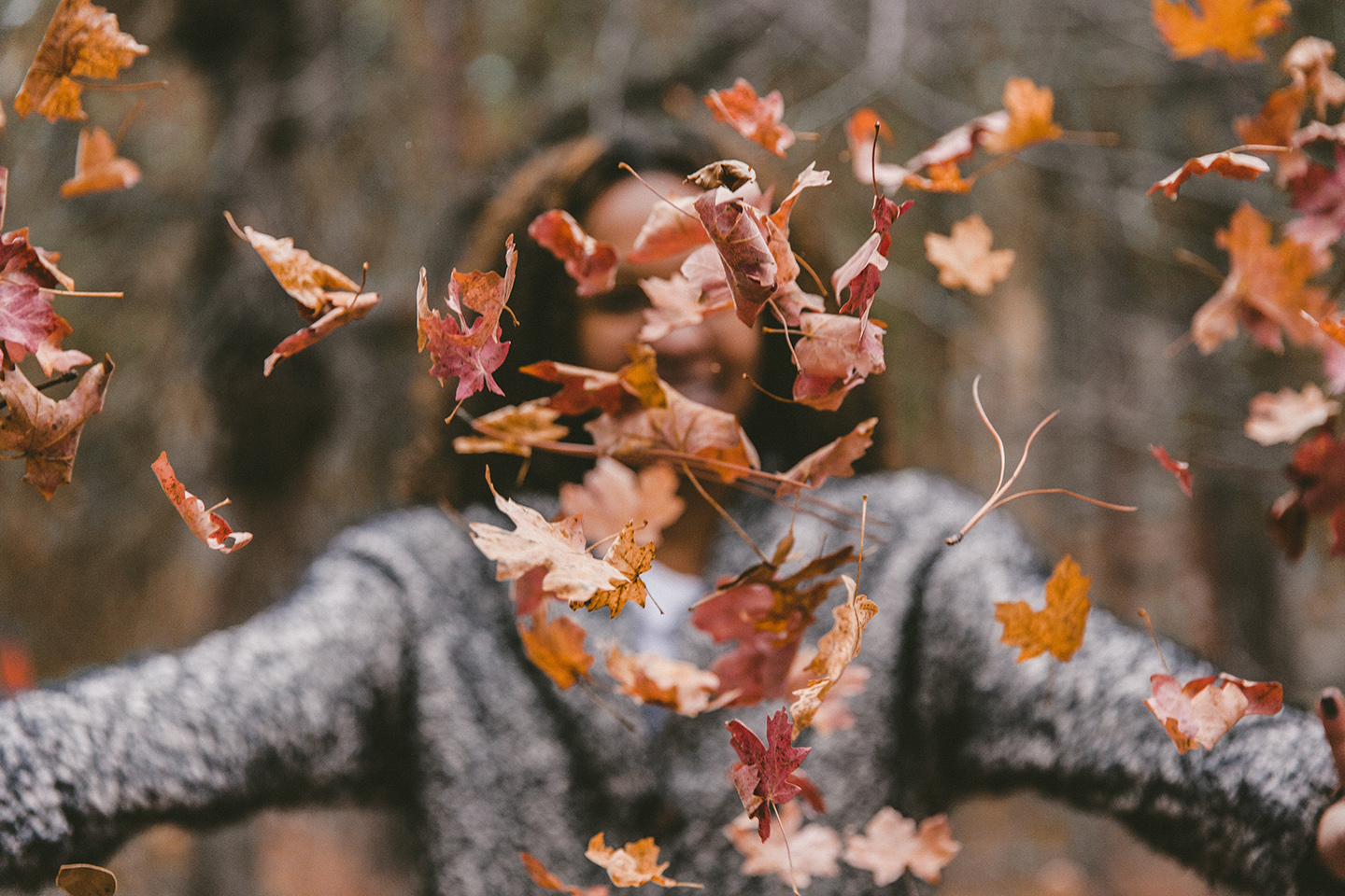 Fall Fun in Fort Collins 2023