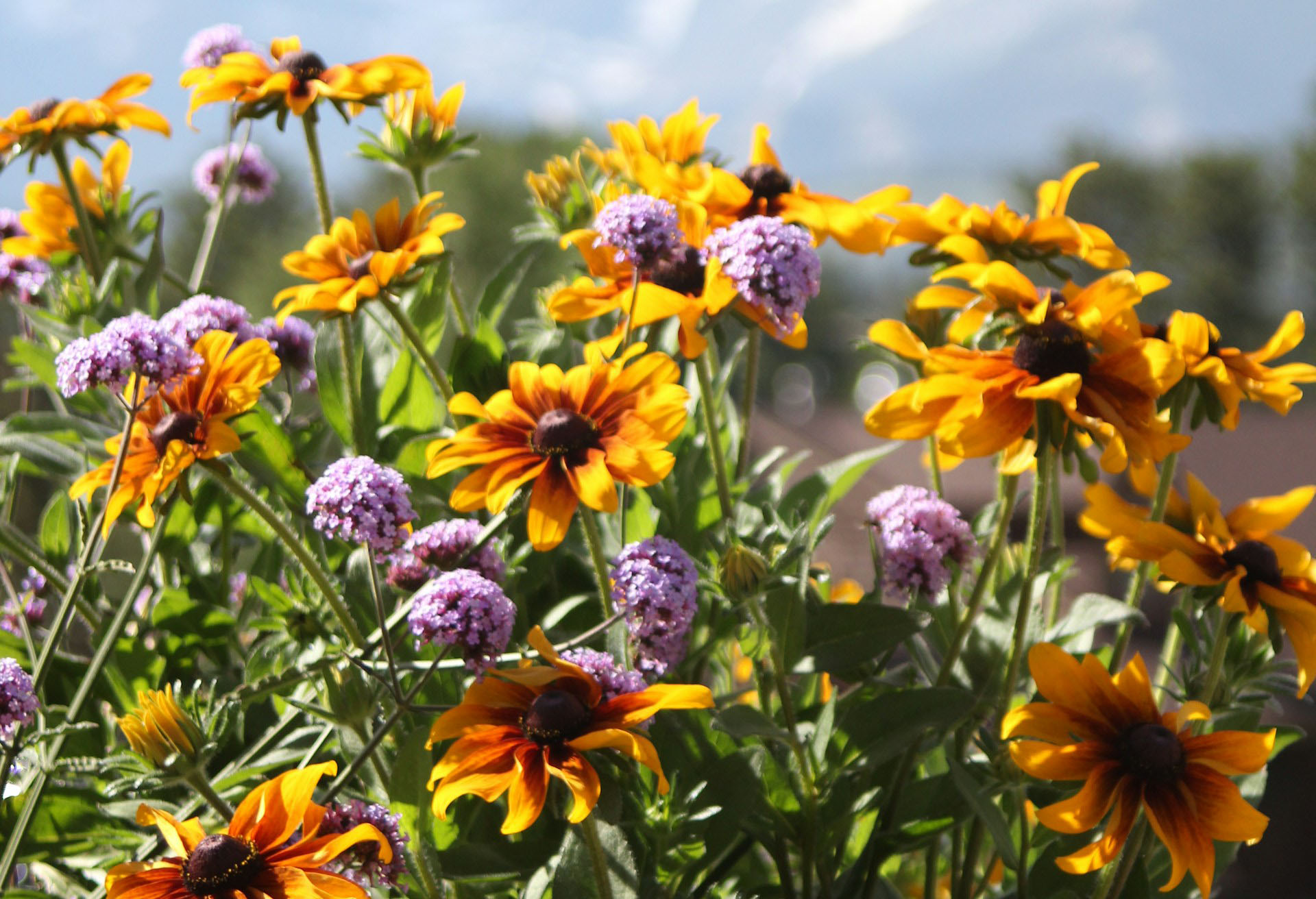 2024 Spring Happenings in Fort Collins, CO