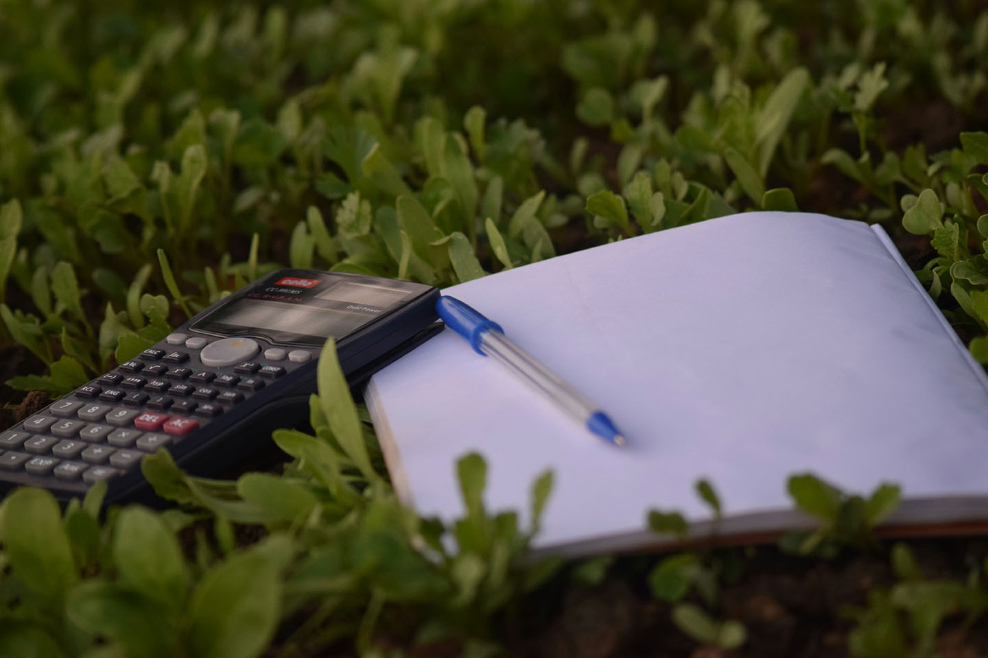 Benefits of Coworking: Resources and Resourcefulness