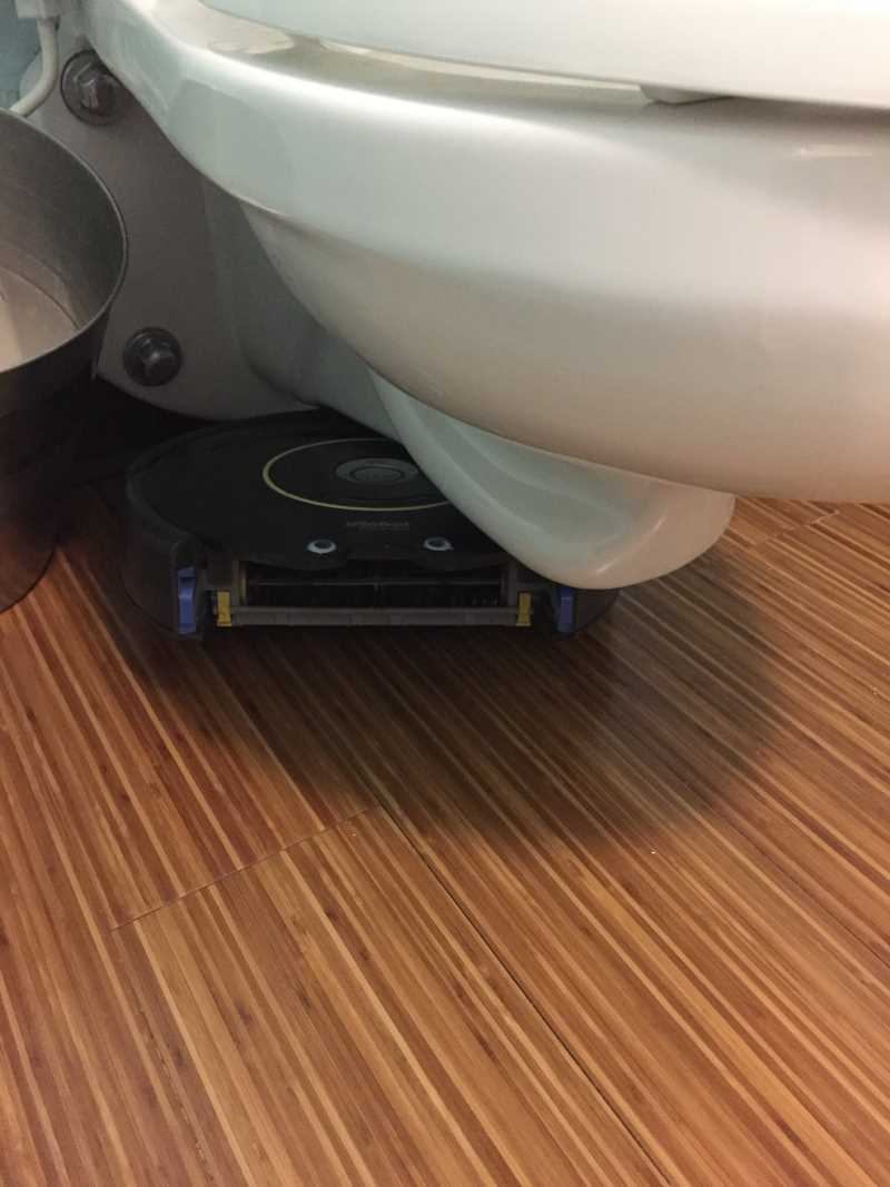 A roomba stuck yet lurking under the toilet.