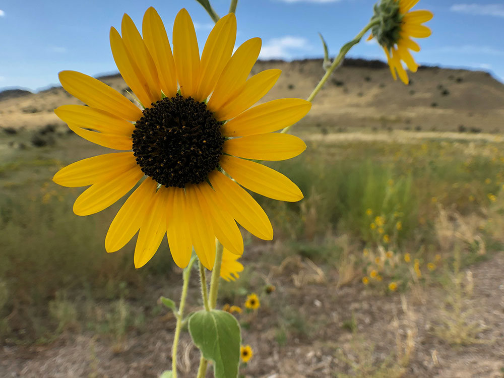7 Superb Ways to Escape the Heat in Old Town Fort Collins