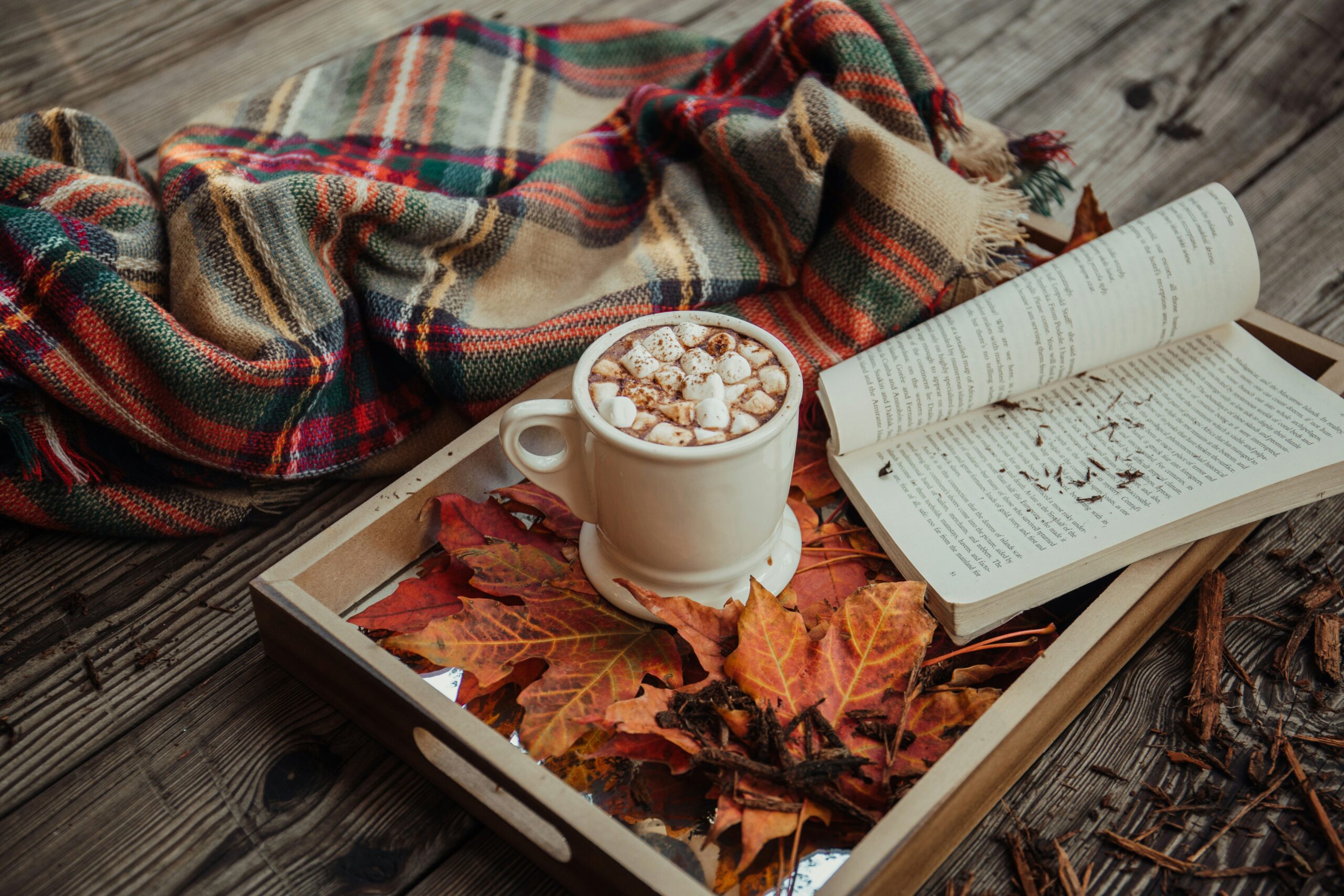 How-to: Fall Reset for Remote Workers in Fort Collins